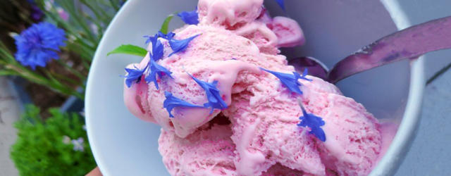 Soft pink icecream sprinkled with flower petals.